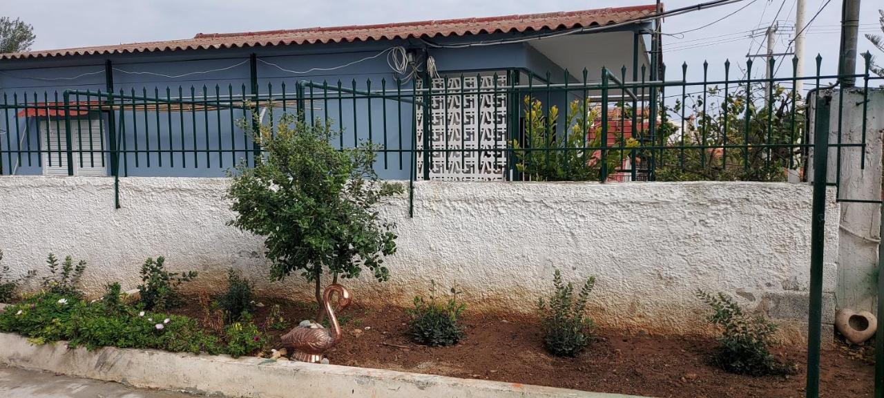 Elena'S Family House Apartment Artemida  Exterior foto